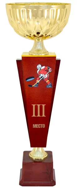Реальное фото Кубок KB 6020 C хоккей (H- 34 см, D- 100 мм) от магазина Спортев