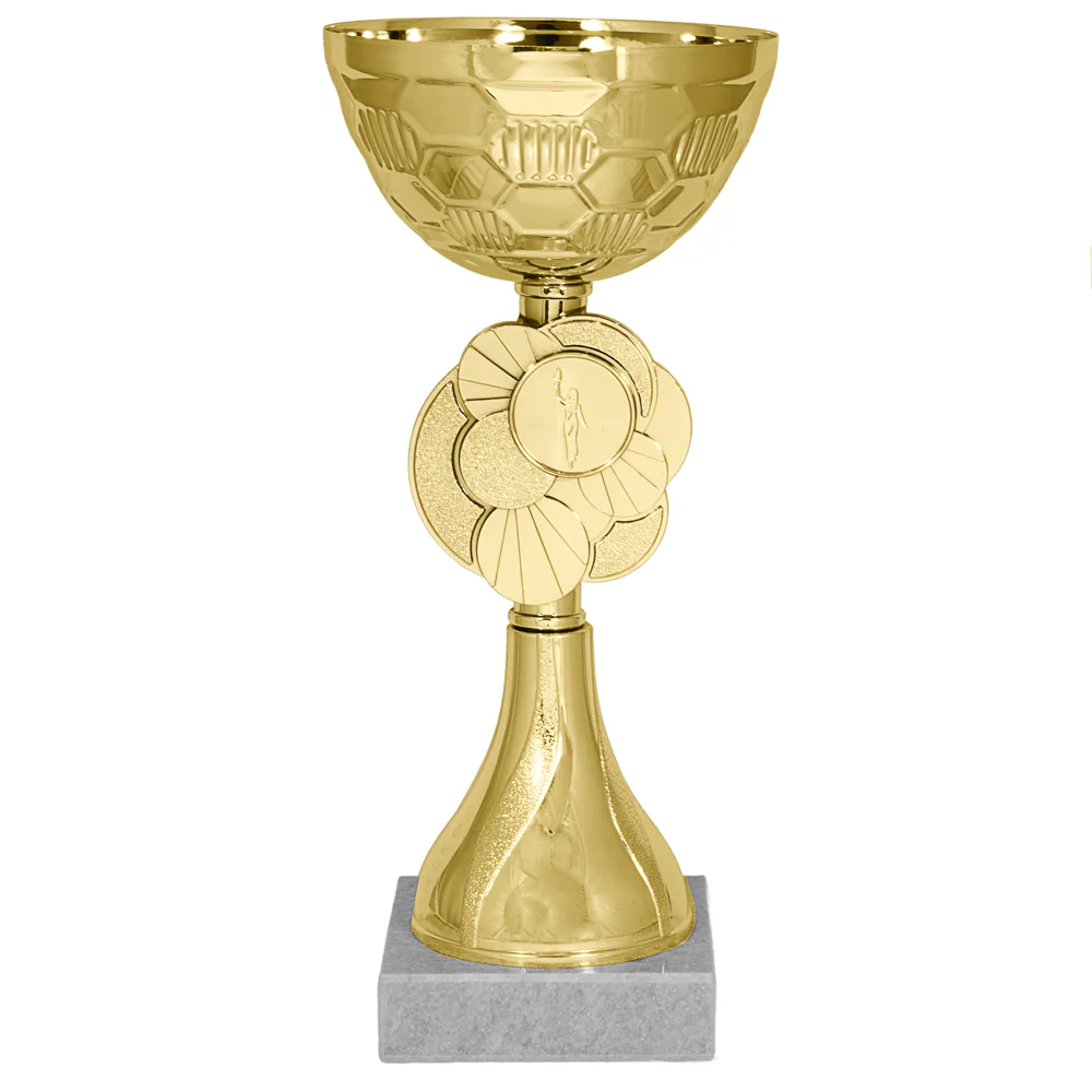 Реальное фото Кубок KB 8091 A (H- 25см, D- 120мм) от магазина Спортев