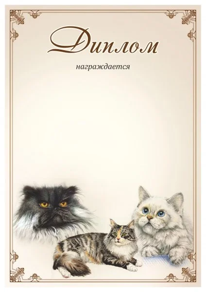 Реальное фото Диплом 00574 Кошки от магазина Спортев