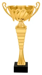 Кубок KB 7102 C (H-27,5 см, D-100 мм)