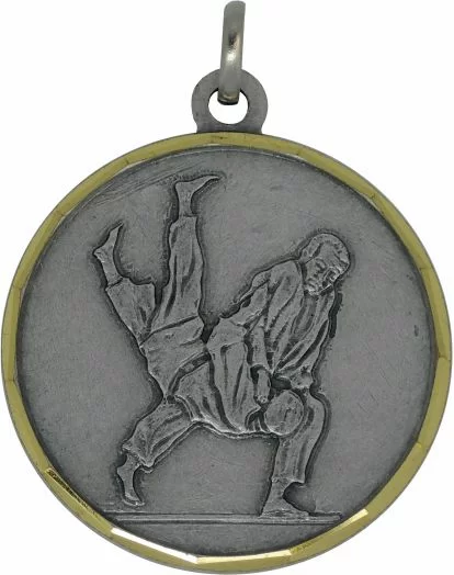 Реальное фото Медаль MD736 d-42 мм дзюдо от магазина СпортЕВ
