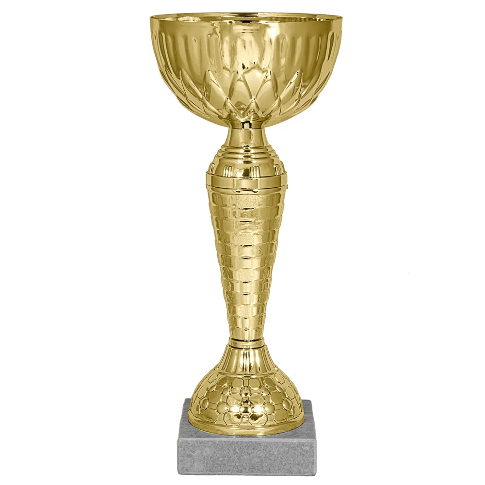 Реальное фото Кубок KB 8095 B (H- 24см, D- 100мм) от магазина Спортев