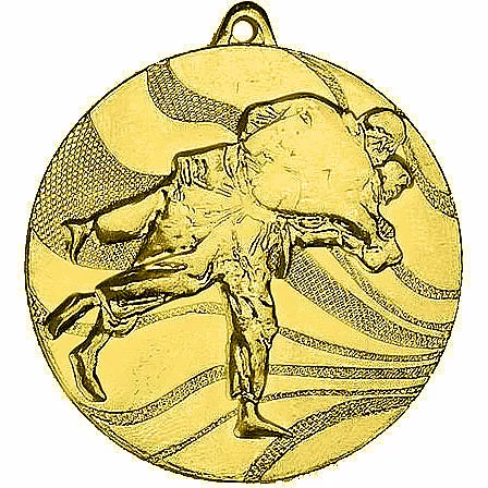 Реальное фото Медаль MMC 2650/G дзюдо (D-50 мм, s-2,5 мм) от магазина Спортев