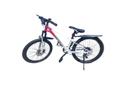 Велосипед GAVER Brave-24 24"