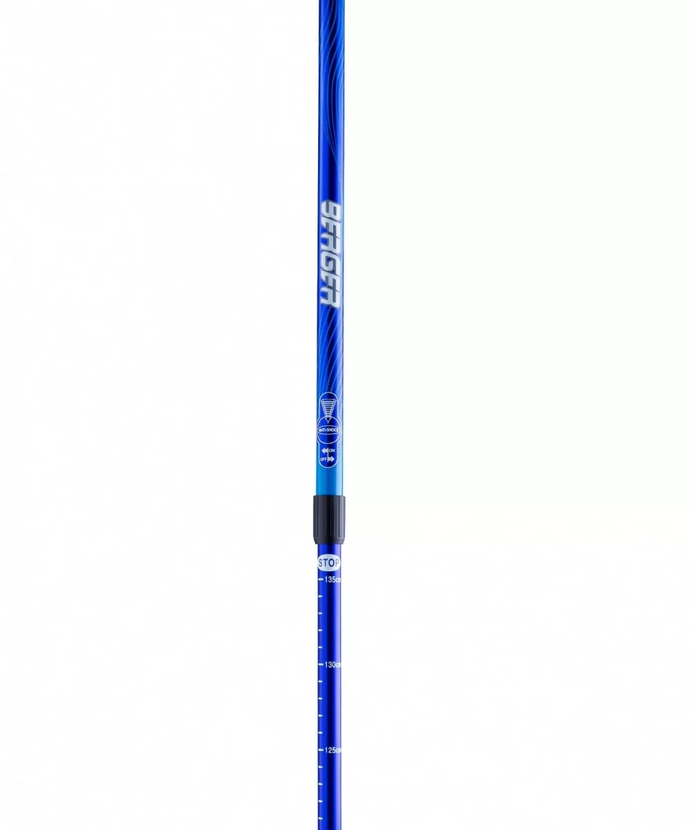 Реальное фото Палки для скандинавской ходьбы Berger Rainbow, 77-135 см, 2-секционные, синий/голубой 10968 от магазина СпортЕВ