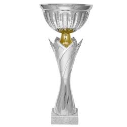 Кубок KB 99964 B/S (H - 27см, D - 120 мм)