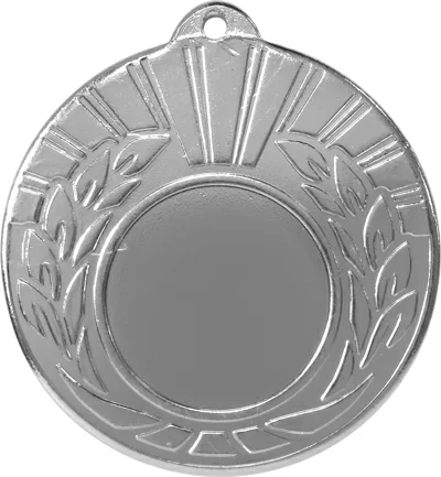 Реальное фото Медаль MZ 18-50/S (D-50 мм, D-25 мм, s-2 мм) от магазина Спортев