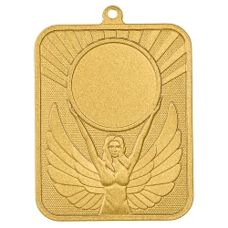Медаль MZP 519-70/GM (48х60мм, s-2 мм)