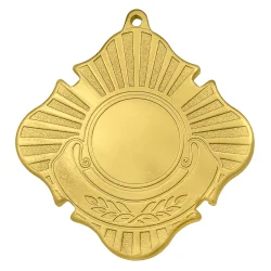 Медаль MZ 66-70/G (70х70мм, D-25мм, s-2мм)
