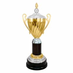 Кубок KB 1102 B (H- 67 см, D-200 мм)