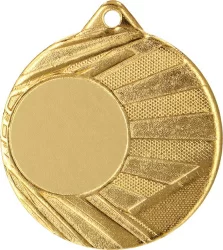 Медаль MMC 006/GM (D-40мм)