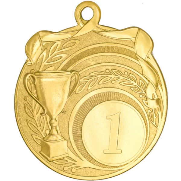 Реальное фото Медаль MZ 44-65/G 1 место (D-65мм, D-25мм, s-2,5мм) от магазина СпортЕВ