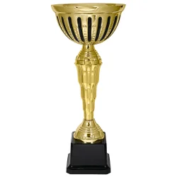 Кубок KB 7120 C (H- 24см, D- 100мм)