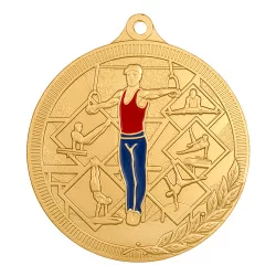 Медаль MZP 590-55/G гимнастика мужская (D-55мм, s-2 мм)