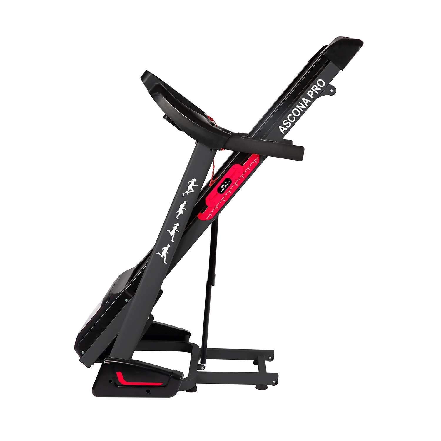 Реальное фото Беговая дорожка DFC ASCONA Pro T640 от магазина Спортев