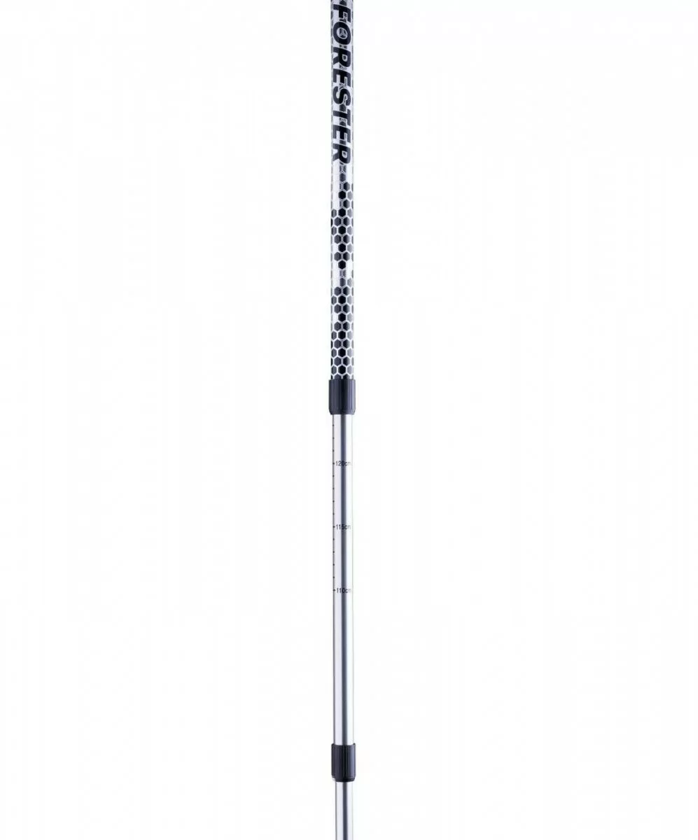 Реальное фото Палки для скандинавской ходьбы Berger Forester, 67-135 см, 3-секционные, серый/чёрный 10963 от магазина СпортЕВ