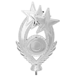 Фигура C3160/S-1 звезды (H-16 см)
