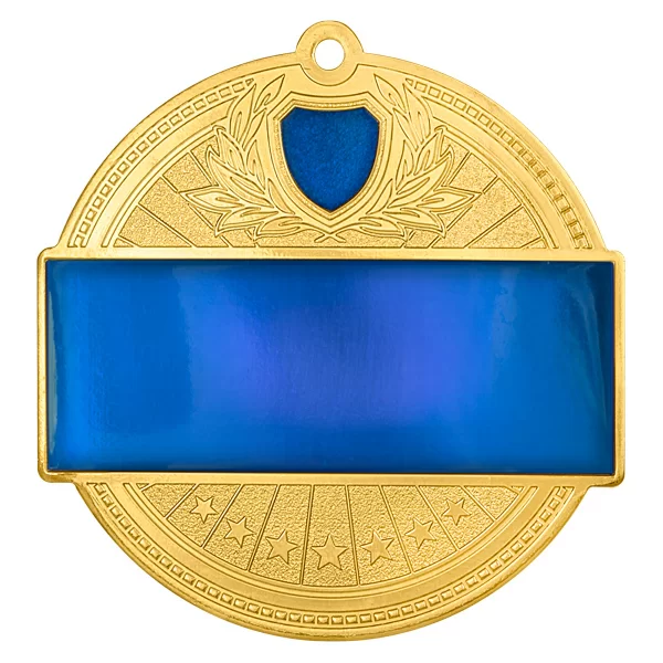 Реальное фото Медаль MZP 302-65/GBU (D-65мм, s-2,5мм) латунь от магазина Спортев
