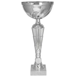 Кубок KB 99219 C/S (H- 25,5 см, D- 100 мм)