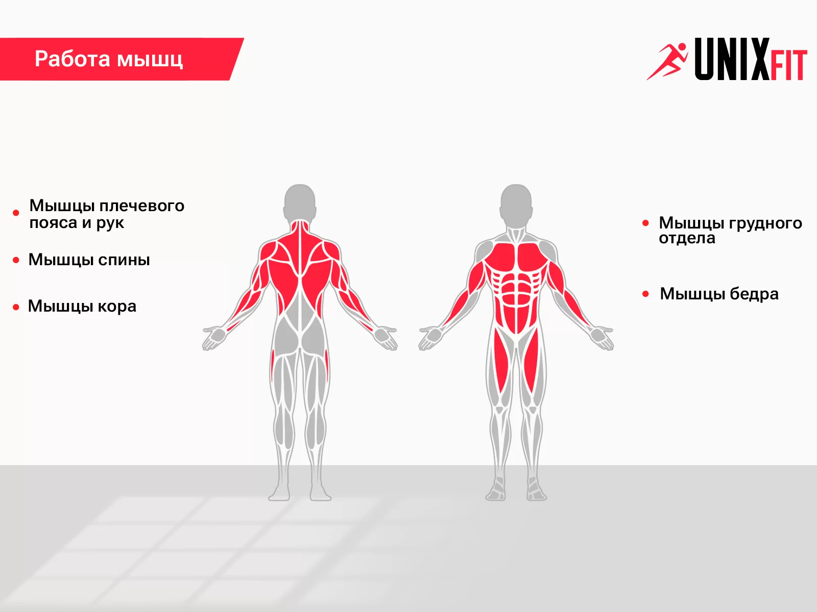 Реальное фото Турник многофункциональный UNIX Fit PULL UP 120P от магазина Спортев
