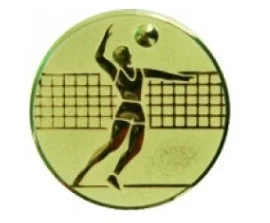 Реальное фото Вставка для медалей AM1-19-G 25 мм пластик волейбол от магазина Спортев