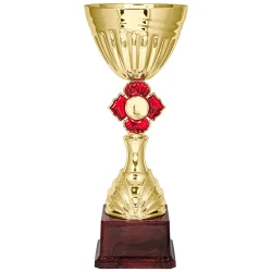 Кубок KB 5097 C (H- 28 см, D-100 мм)