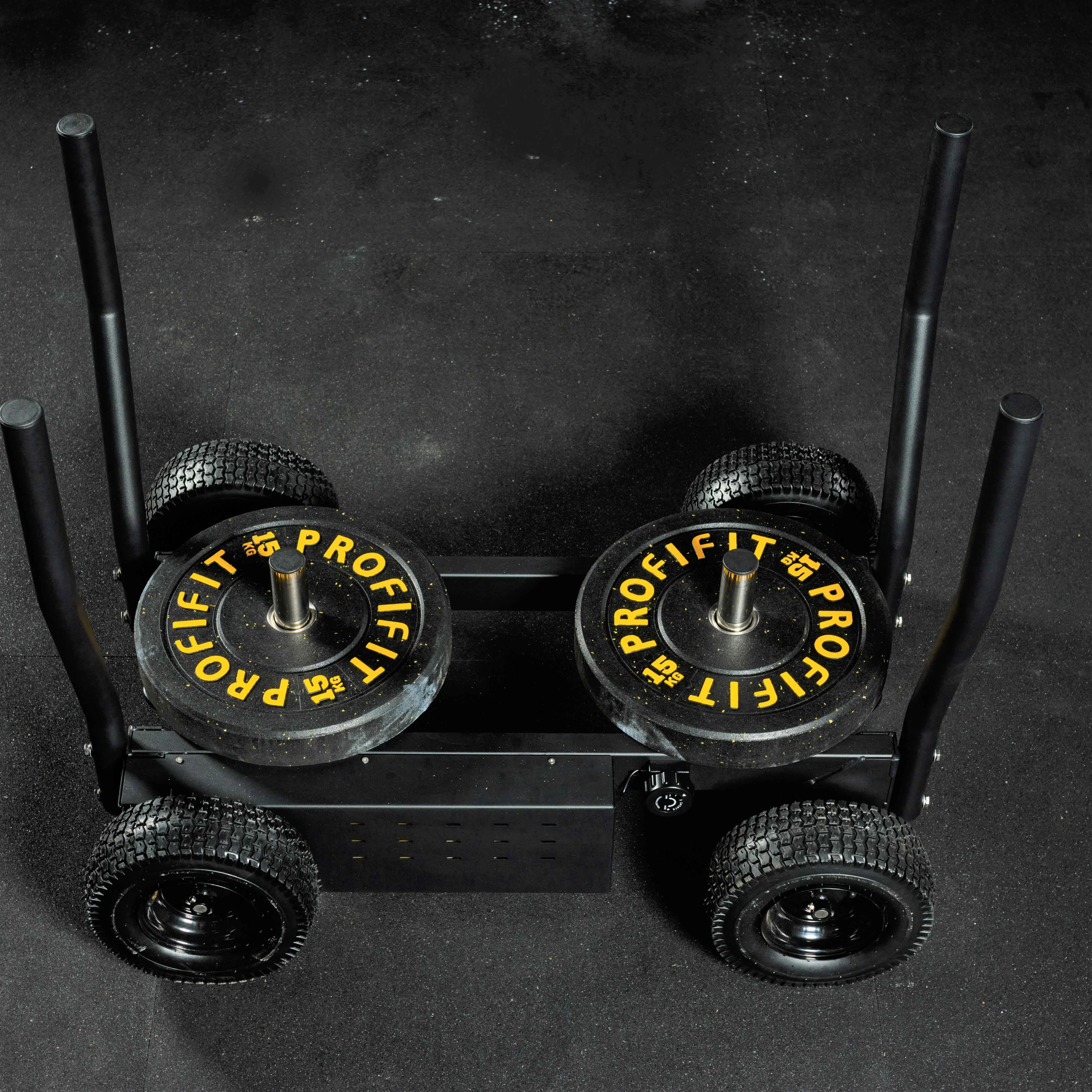 Реальное фото Сани-тележка для функционального тренинга ТАНГЕН от магазина Спортев