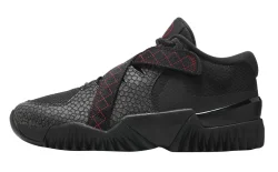 Кроссовки Nike Zoom Court Dragon черный DV8166 001