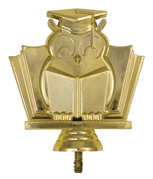 Реальное фото Фигура B358/G знание (H-10 см) от магазина Спортев