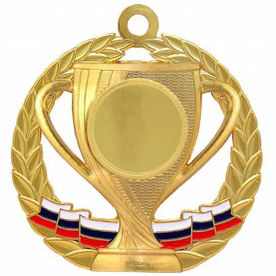 Реальное фото Медаль MZ 33-70/G (D-70 мм, D-25 мм, s-2,5 мм) от магазина Спортев