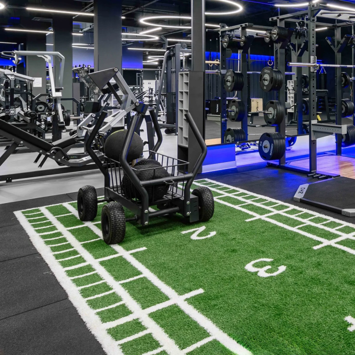 Реальное фото Сани-тележка для функционального тренинга ТАНГЕН от магазина Спортев