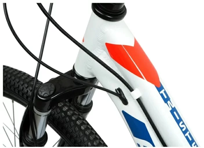 Реальное фото Велосипед Forward Twister 24 2.0 D (7ск) (2022) белый/красный от магазина СпортЕВ