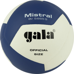 Мяч волейбольный Gala Mistral 12 р.5 кожа ПУ клеен белый/синий BV5665S