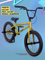Велосипед GAVER Callant BMX 20"