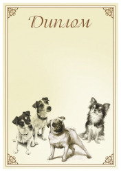 Диплом 00576 Собаки