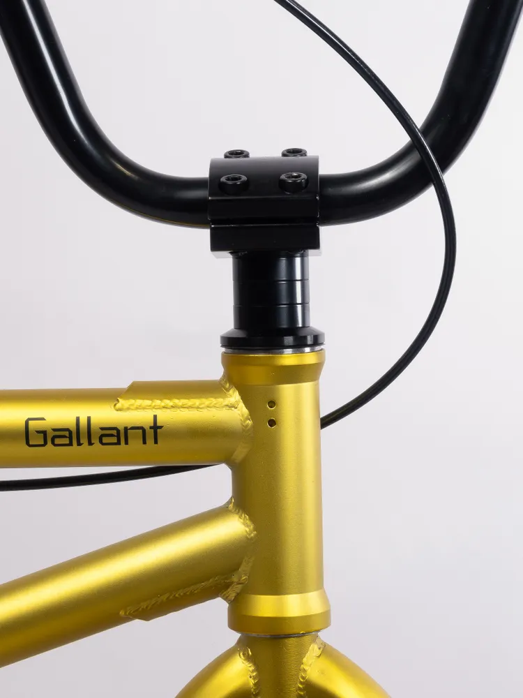 Велосипед GAVER Callant BMX 20" Реальное фото Велосипед GAVER Callant BMX 20" от магазина Спортев