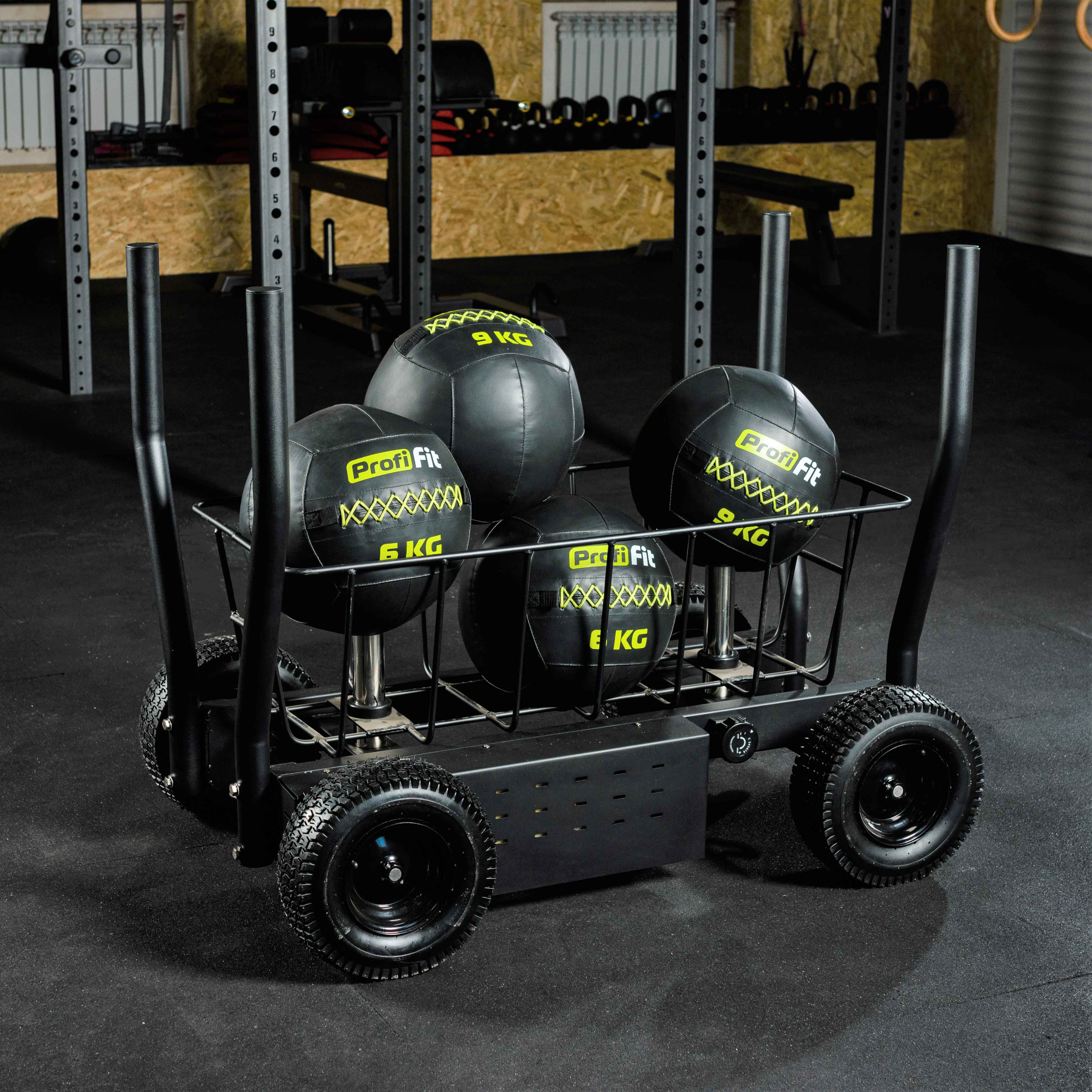 Реальное фото Сани-тележка для функционального тренинга (Тренажер Tank) TANGEN от магазина Спортев