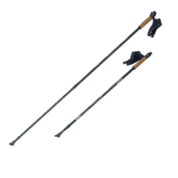 Палки для скандинавской ходьбы RGX NWS-111