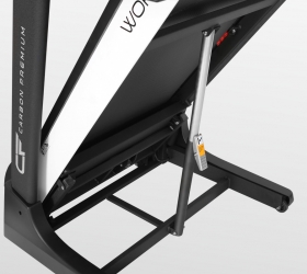 CARBON PREMIUM WORLD RUNNER T2 Беговая дорожка