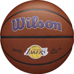 Мяч баскетбольный Wilson NBA LA Lakers размер №7 коричневый WTB3100XBLAL