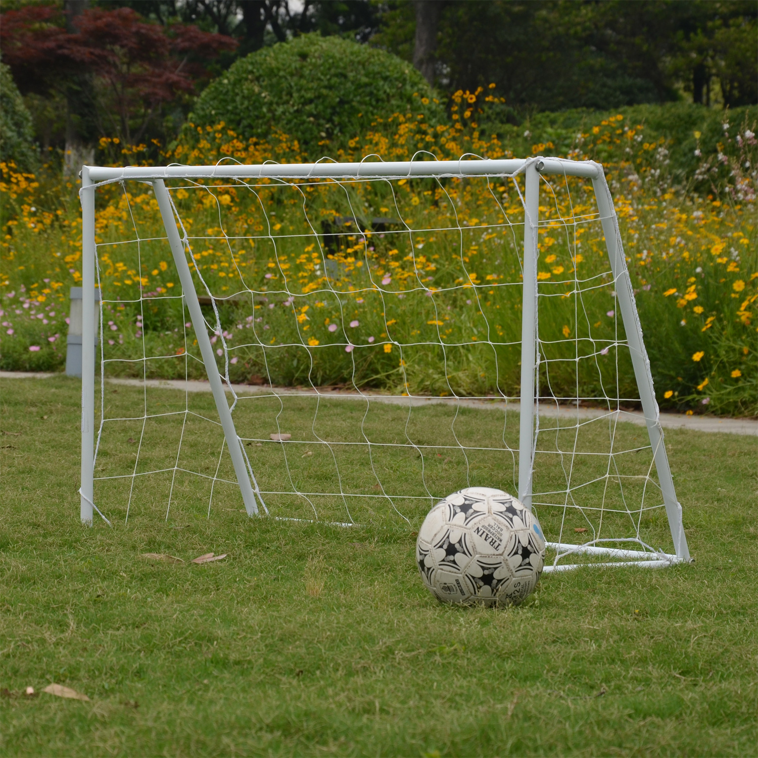 Реальное фото Ворота игровые DFC GOAL120 120x80x55cm от магазина Спортев