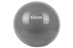 Фитбол 65 см Gym Ball GM-65-1 серый 10022103