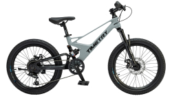 Велосипед Timetry TT230 20" 7 скор. серый